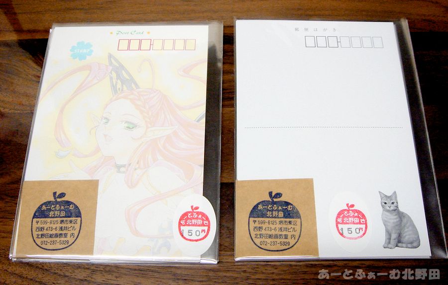 アゲハと茶トラ絵葉書裏